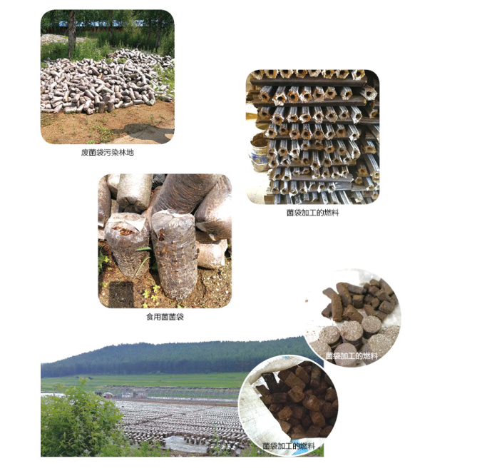 ȼ�������|(zh��)���K偠tȼ